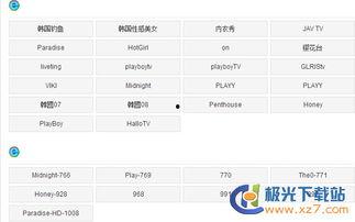 韩国成人电视直播app,隐私边界与监管挑战