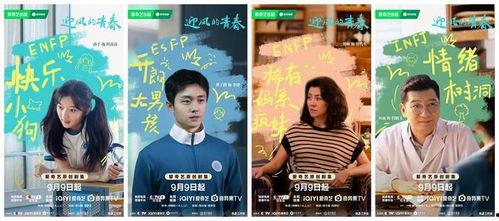 电视剧青春,梦想与成长的交织之旅