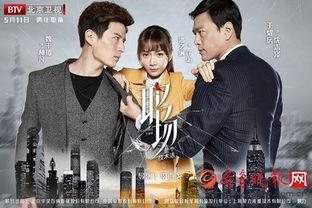 职场是个技术活电视剧