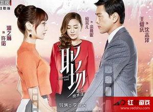 职场是个技术活电视剧