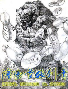 雪狼漫画,冰封岁月中的热血传奇